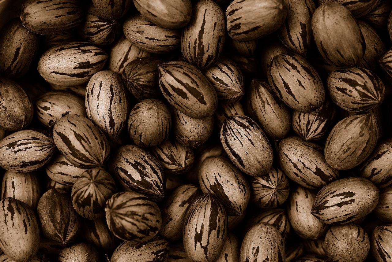 Pecan Facts