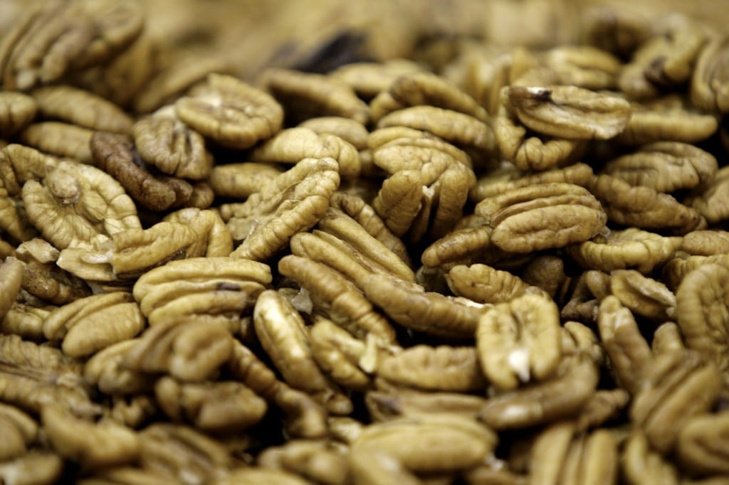 Pecans Shelled Pecan Trees for Sale Wholesale Pecan Nursery Pecan