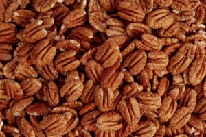 Delicious pecans, pecan trees for sale, bareroot and container pecan trees, retail and wholesale pecan nursery pecan tree sales.