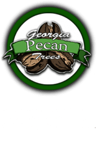 Georgia pecan trees, pecan trees for sale, bareroot and container pecan trees, retail and wholesale pecan nursery for pecan tree sales.