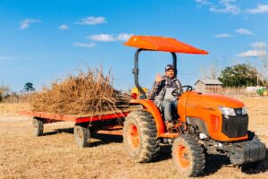 Man Driving Tractor in Pecan Field