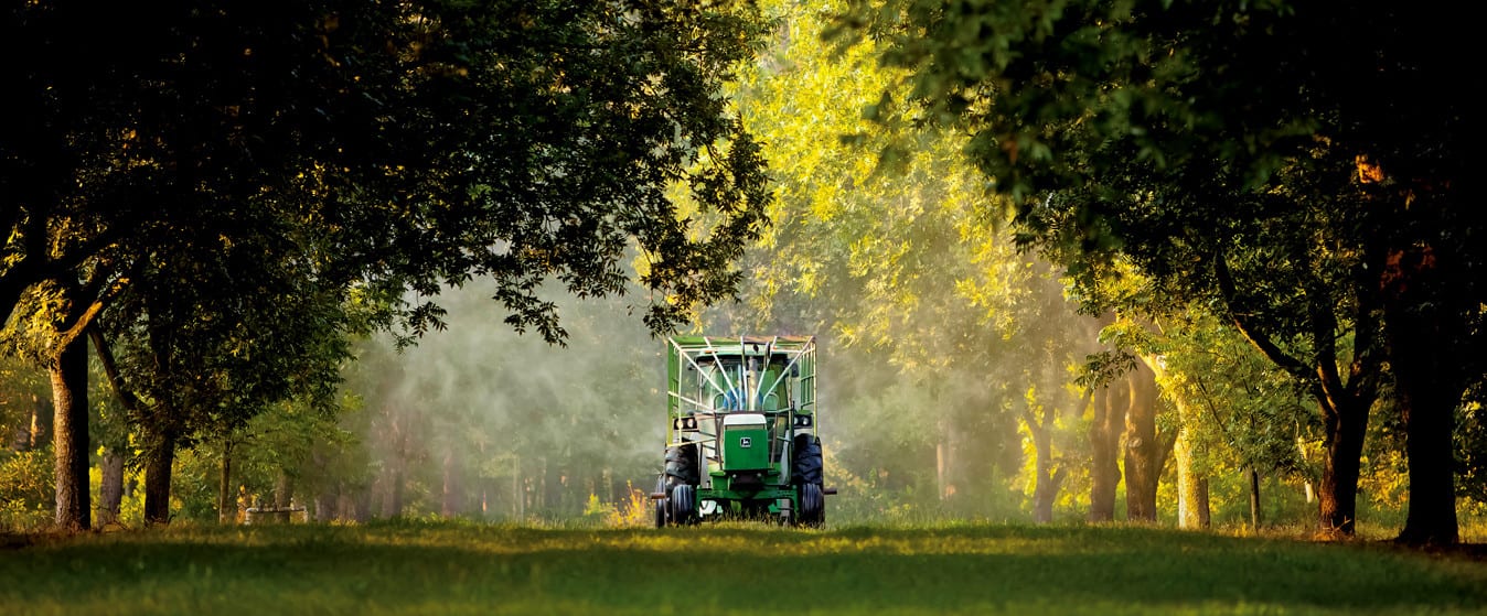 Tractor spraying pecan trees for sale