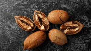 Pecan shell DIY project | georgia pecan trees